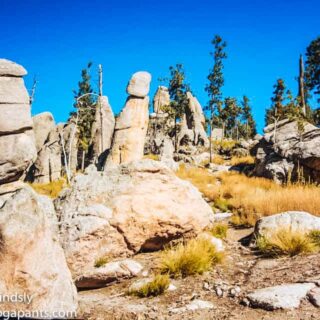 Needles highway in custer state park