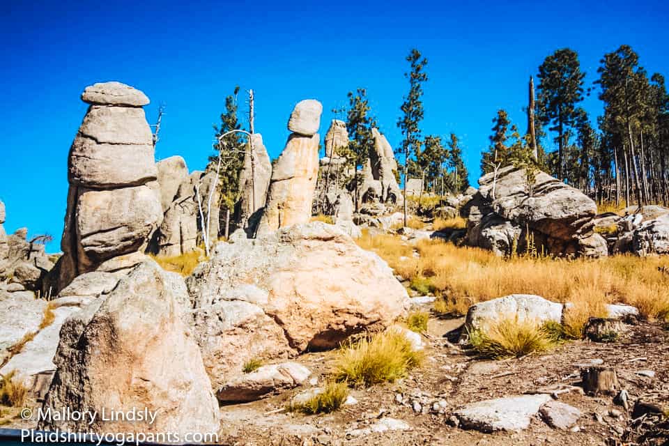 Needles highway in custer state park