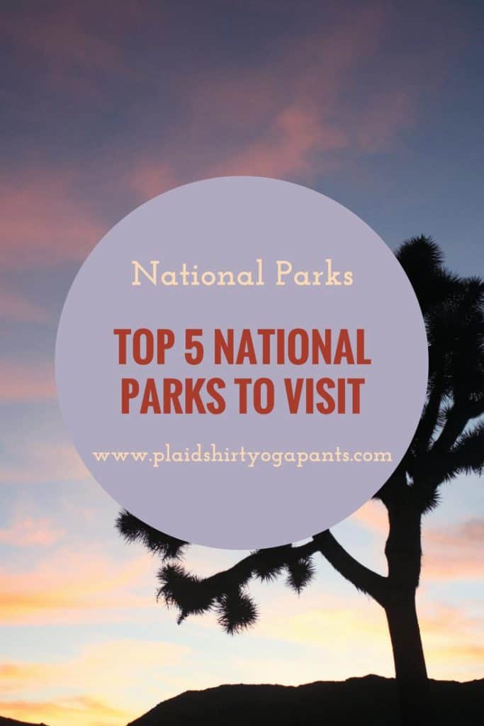 Click to read my top five National Parks to visit in the United States of America. This year, hit the road to some of America’s greatest National Parks. Petrified Forest, Badlands, Joshua Tree, Yellowstone, Grand Canyon and Bonus Mount Rushmore.