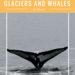 Whale tale in Alaska