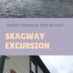 Read Plaid Shirt Yoga Pant's excursion from the Disney Wonder in Skagway. I visited the Yukon Pass, Liarsville, Red Onion Saloon, and drank Spruce Tip Beer!