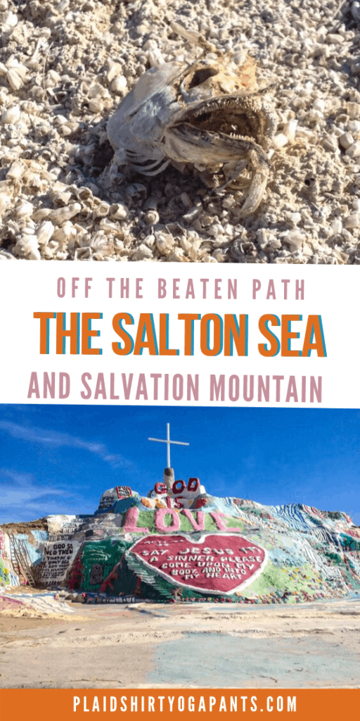 Salton Sea and Salvation mountain