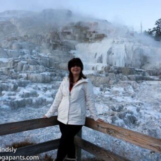 I recently used Viator to book a wildlife tour with Yellowstone Guidelines in Yellowstone National Park. Click to read my review of my amazing experience.