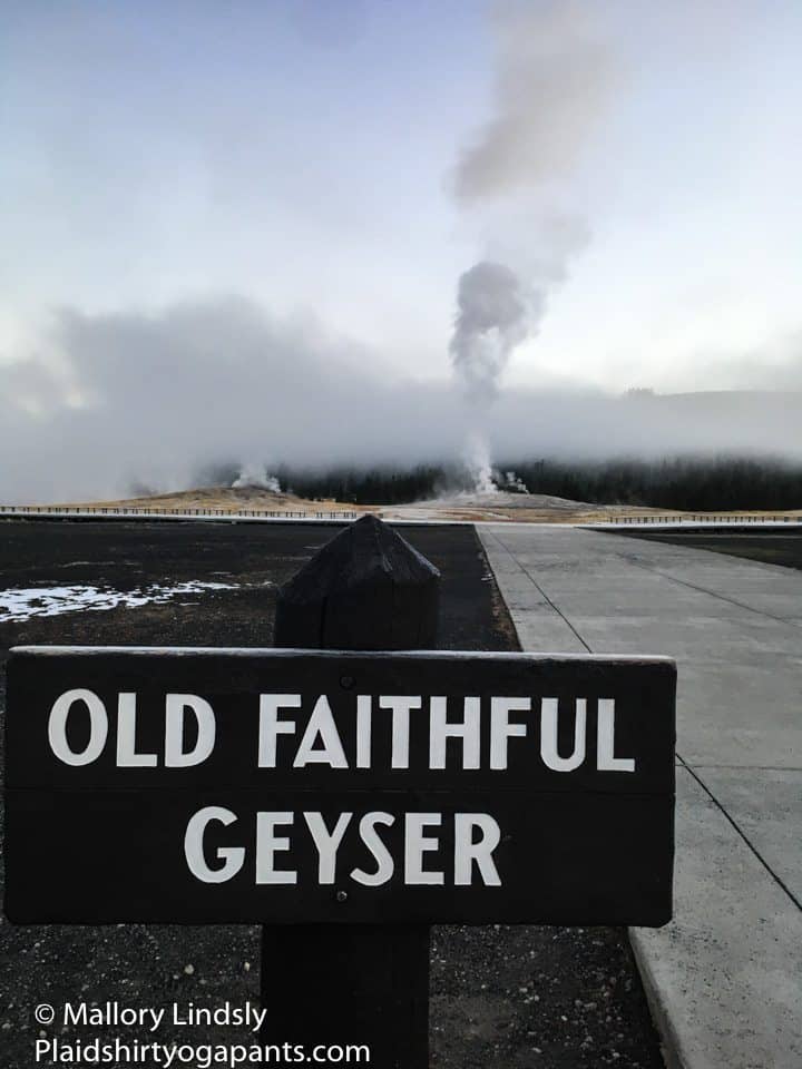 Old Faithful Geyser in the early morning. 