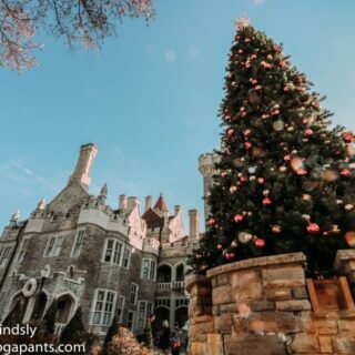 Visiting a Canadian Castle was something that was on my family's bucket list and we didn't realize it! Click to read my review of Casa Loma at Christmas time!