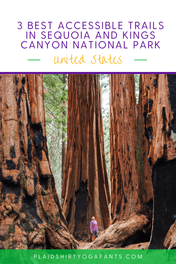 3 Best Accessible Trails in Sequoia and Kings Canyon National Park