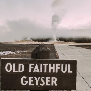 Sign of Old Faithful with a steaming old faithful in the background.