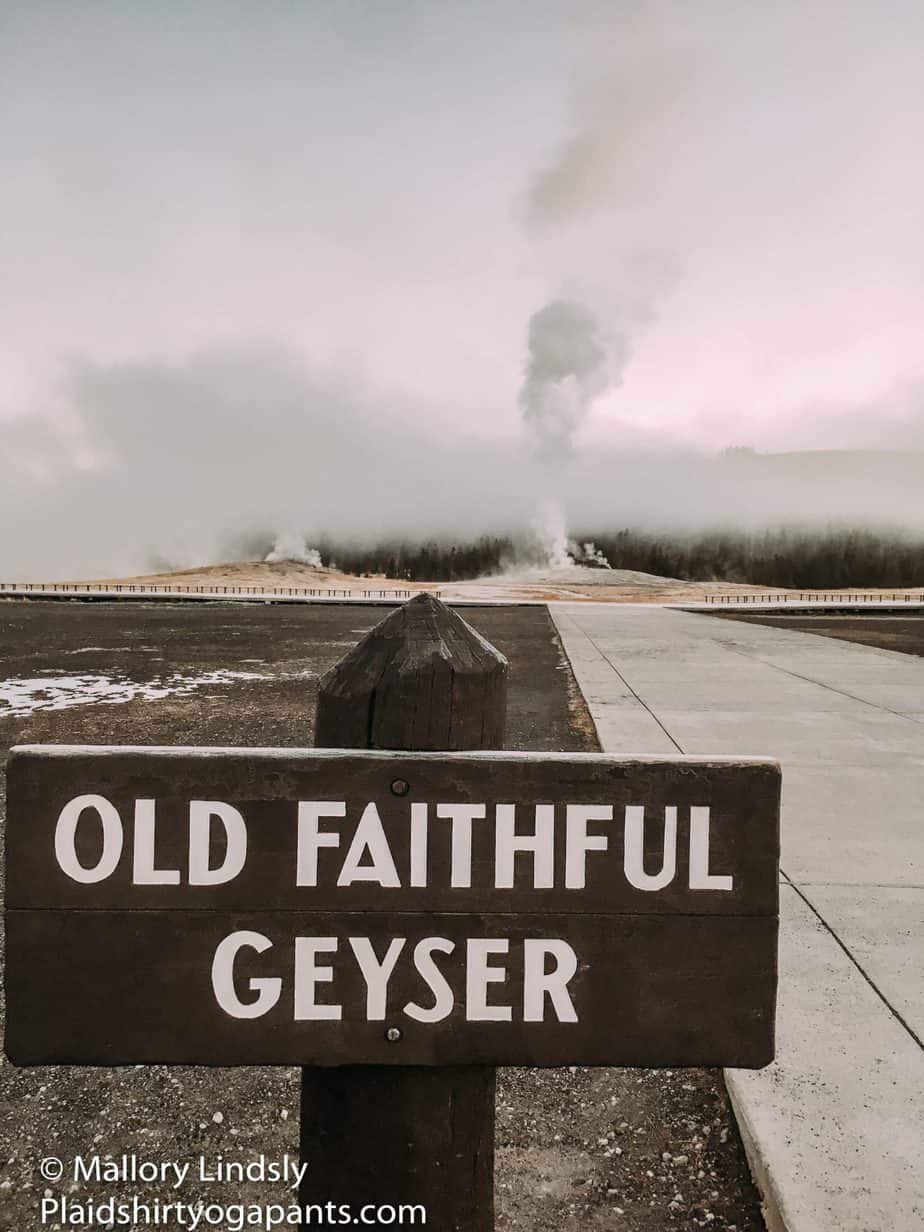 Sign of Old Faithful with a steaming old faithful in the background.