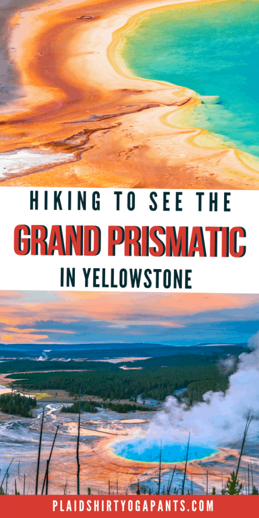 hiking to see the grand prismatic in yellowstone