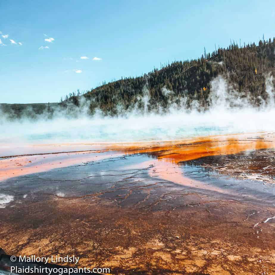 Photo of steam rising from the Grand Prismatic.