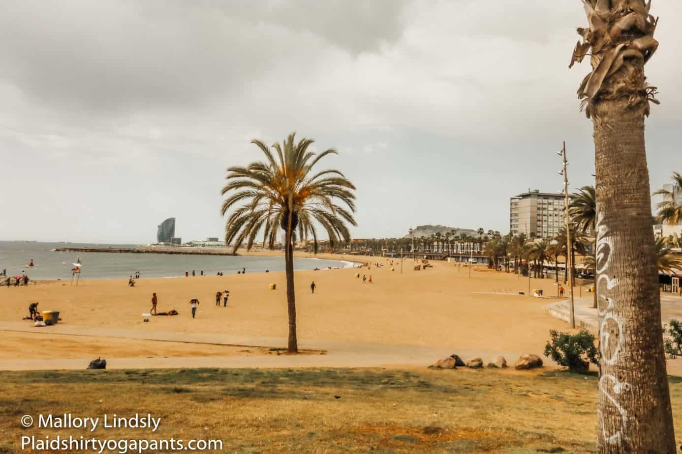 A shot of the Barcelona beach. 