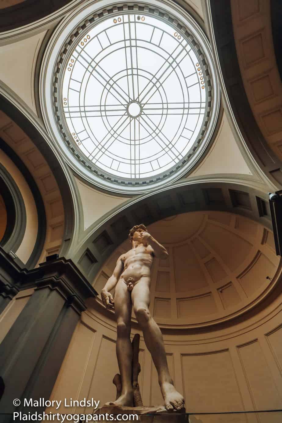Michelangelo's David Statue