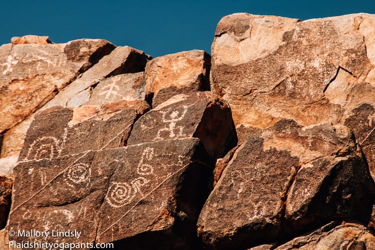 Pictographs in Saguaro National Park