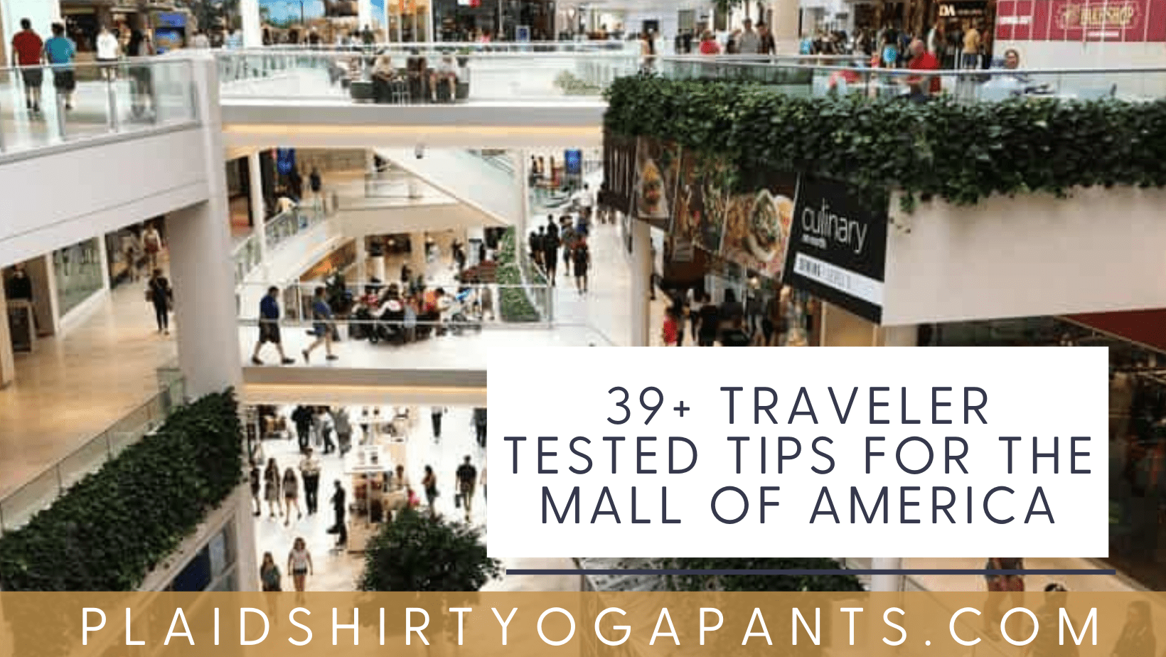 39+ Traveler Tested Tips for Visiting the Mall of America