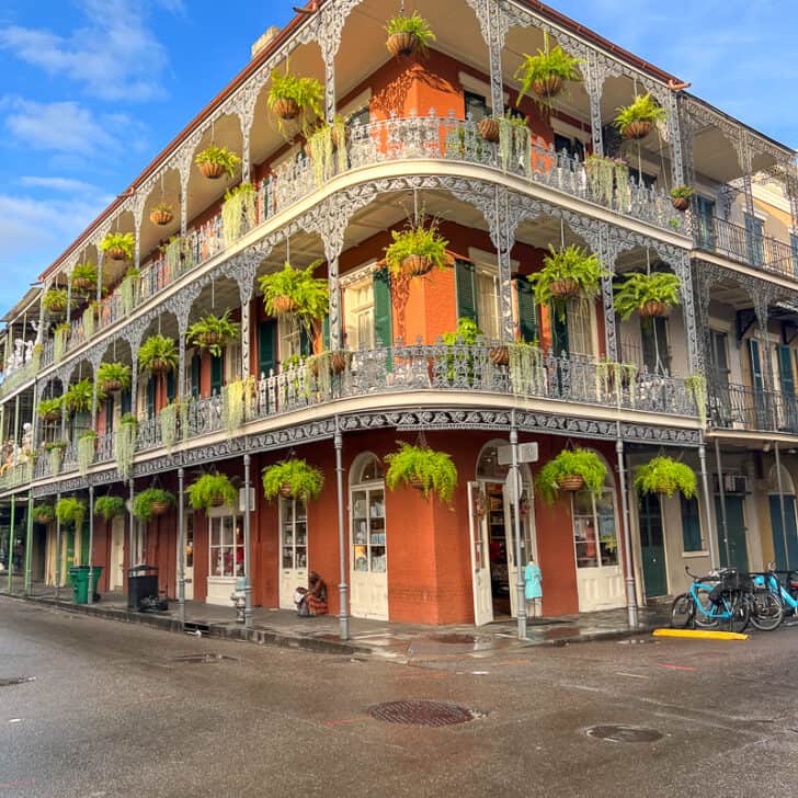 24 Best things to do in New Orleans when it Rains
