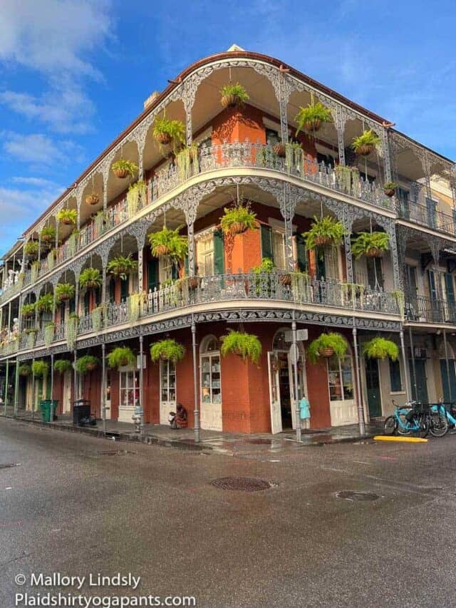 what to do in the french quarter of new orleans