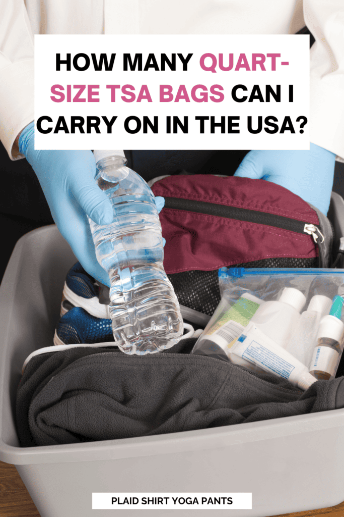 How Many Quart-Size TSA Bags Can I Carry On in the USA? - Plaid Shirt Yoga  Pants