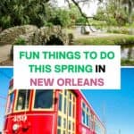 Fun things to do in Spring in New orleans pinterest post